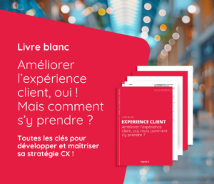 Teaser livre blanc expérience client